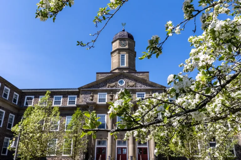 Henry Hicks building at Dalhousie University with magnolias in bloom